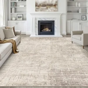 8x10 Area Rugs Living Room